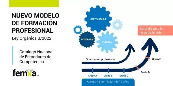 Diferencias entre grado superior y grado medio